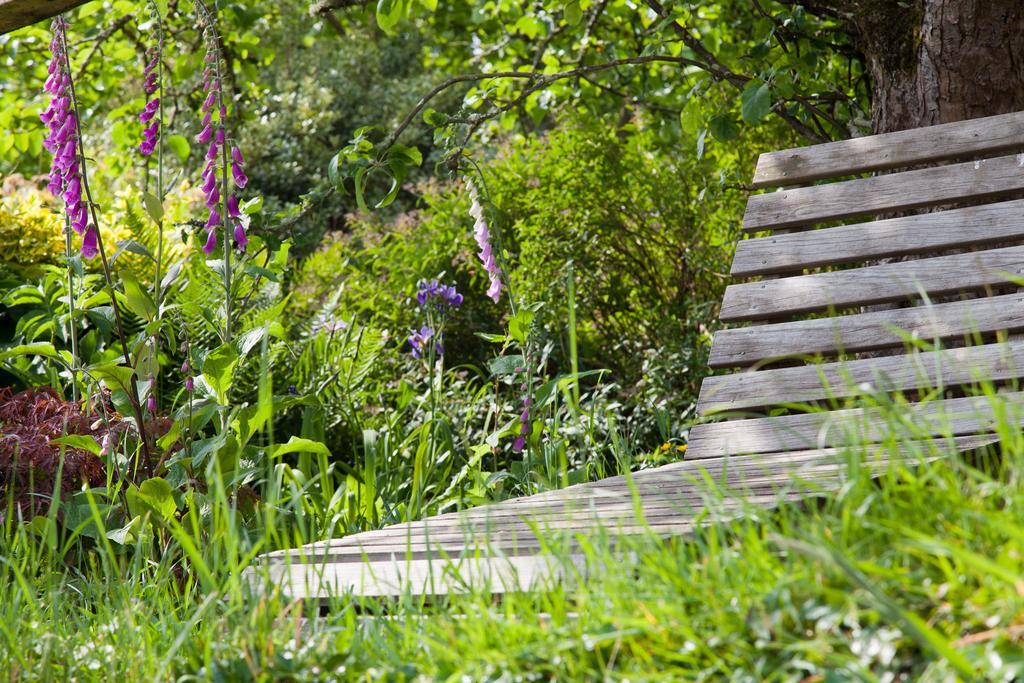 Glebe Farm B&B Кингсбридж Экстерьер фото